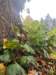 photo36_small.jpg
