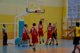 dsc_0690.jpg