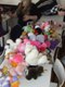 dscf6264.jpg