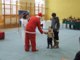 dscf6590.jpg