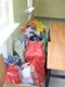 dscf6884.jpg