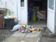 dscf6906.jpg