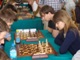 dsc05859.jpg