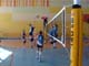 DSC07984.jpg