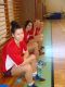 DSC08524.jpg
