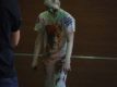 DSCF7793.jpg