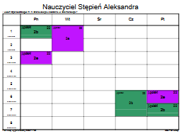 Strona 4
