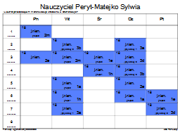 Strona 17